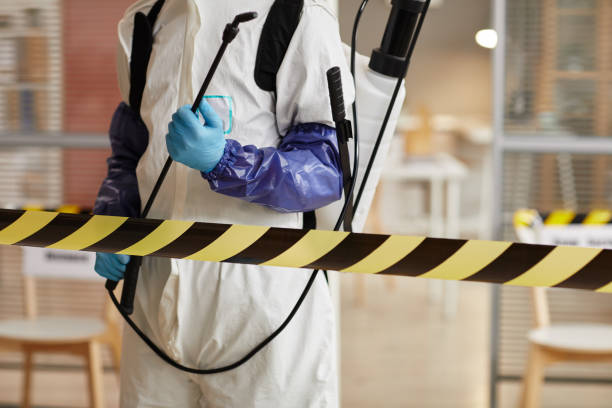 Professional Biohazard technician working in Garland, UT